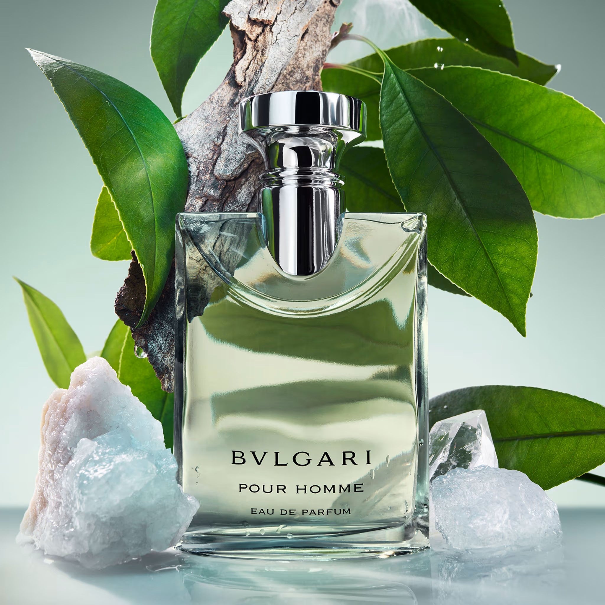 Bvlgari Pour Homme Eau de Parfum For Unisex BrandsVilla