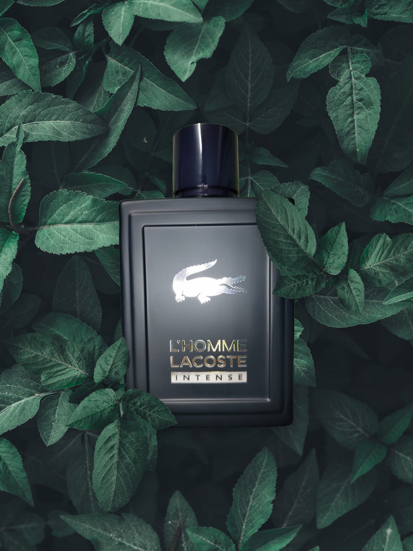 L’Homme Intense By Lacoste Eau De Toilette for Men